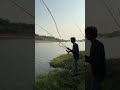ఫీడర్ కి పెద్ద క్యాట్ ఫిష్ పాడింధి.