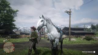 Silver Kladruber | No Music - IRL Horse RDR2 & Online