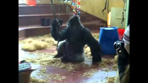 Motuba at Philadelphia Zoo