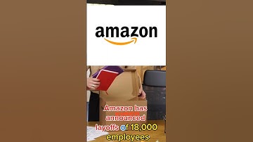 Tech Industry Layoff Crisis