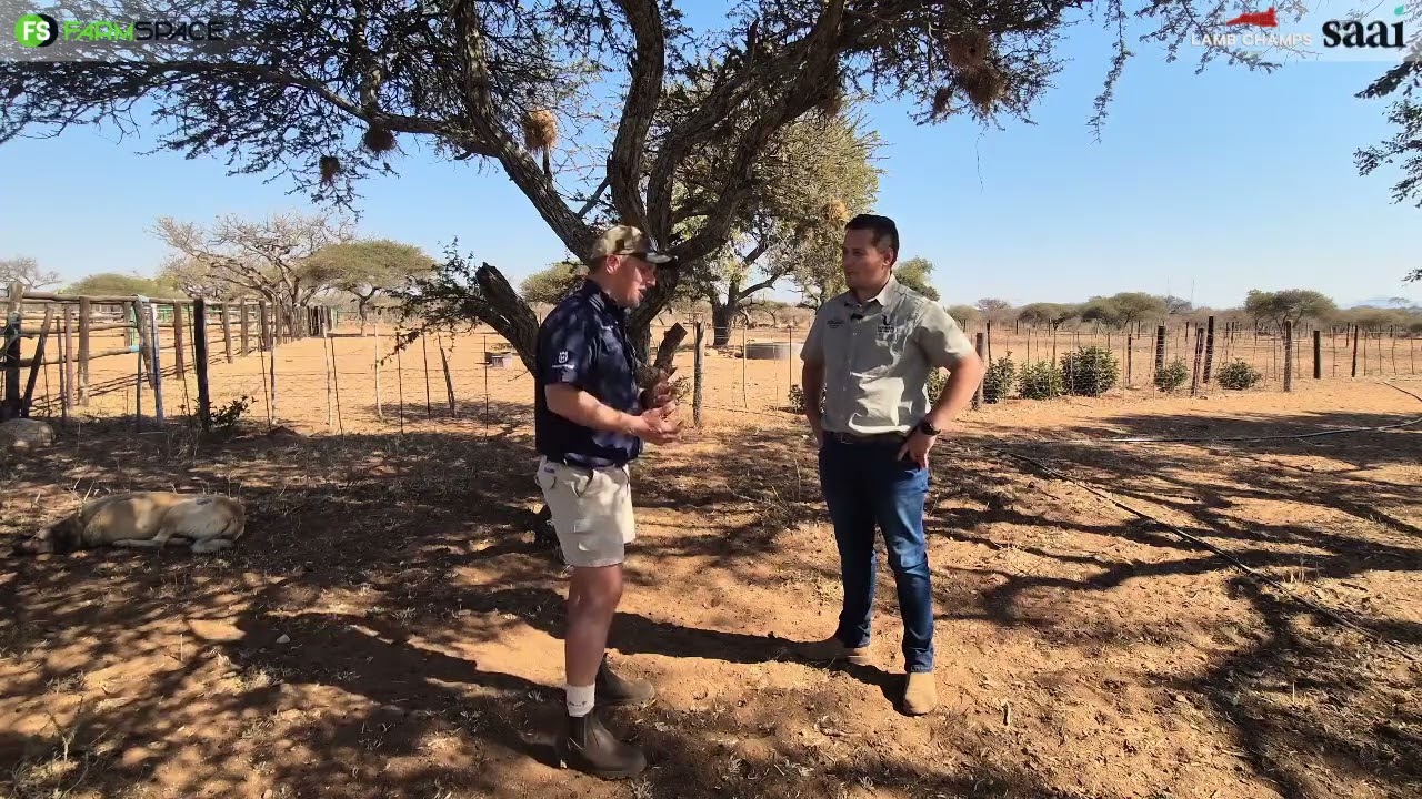 Brandon Brooks het 'n Meatmaster ingeskryf vir Lamb Champs. Hoekom die ras?