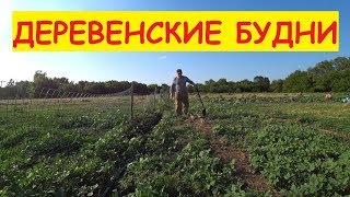 Деревенские будни / Собрали скошенное, начали косить новое / Опять косилка барахлит... Деревенские будни / Собрали скошенное, начали косить новое / Опять косилка барахлит...