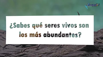 ¿Cuál es el ser vivo más abundante?