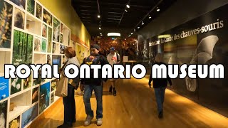 A Visit to the Royal Ontario Museum in Toronto Full Tour