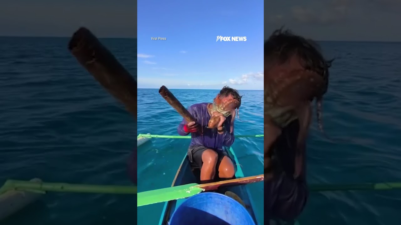 Octopus wrestling match” —Fisherman battles Cephalopod latched onto Face