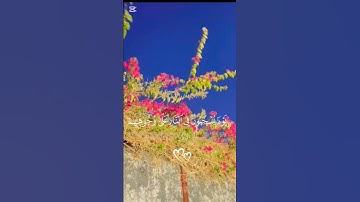 [سيهزم الجمع ويولون الدبر] صلاح الباجي 🌼سورة القمر #قران_كريم #اكسبلور #ترند #تلاوة_خاشعة #راحة