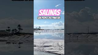 Salinas de San Pedro del Pinatar, Murcia 🇪🇸