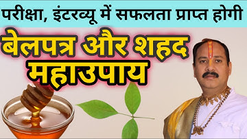 सरकारी नौकरी चाहिए तो जरूर करें ये बेलपत्र और शहद का महाउपाय,सफलता निश्चित है।#panditpradeepmishraji
