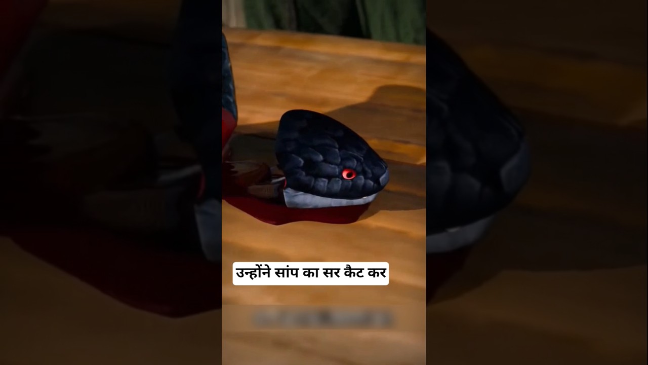 Kya Hoga agr sp ka sir kaat kar dekha jaye 🥺 ~ mini wowoodworkingod toy - art / hand craft / skills