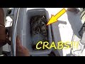 Catching Saltwater Crabs and Fish - Crabbing and Fishing at Marsh Island