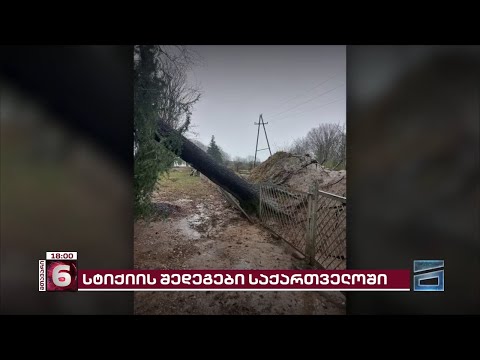 წაქცეული ხეები და სახურავის გარეშე დარჩენილი სახლები | უამინდობის შედეგები საქართველოში