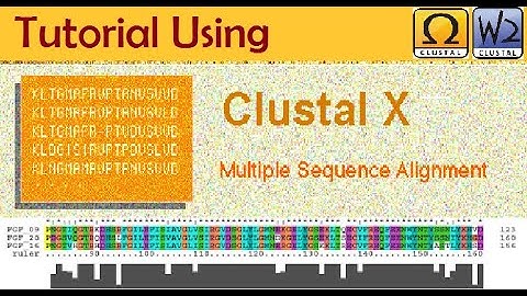 (Clustal X Tutorial) Bioinformatika UIN Malang (2017) A2