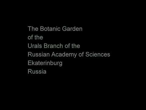 Ботанический сад Уральского отделения Российской академии наук г. Екатеринбург