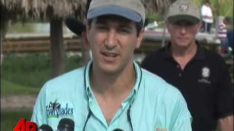 Python Hunt on in Everglades