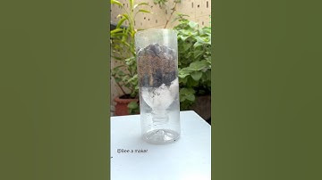 Water filter science activity for kids#scienceproject #scienceactivity