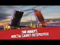 Мосты Санкт-Петербурга — Физики и лирики