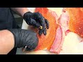 Professionally filleting a ocean trout and removing pin bones