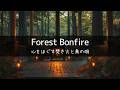 Bonfire & Birds in the Forest (6h) | Deep Sleep, Focus & Healing【Nature Sounds/ASMR】