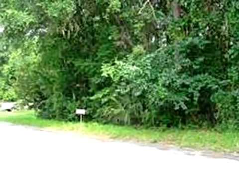 309 W Harvard St, Inverness, FL home video tour