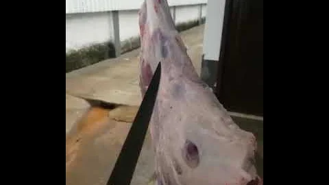 Como tirar ranço de carne de carneiro?