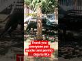 #memes #video #humor #yosoydelos7mil #viral #funny #dog #dogshorts #food #funny #animals #love