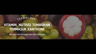 XAMthone Plus  (Produk Herbal Ekstrak Kulit Buah Manggis)