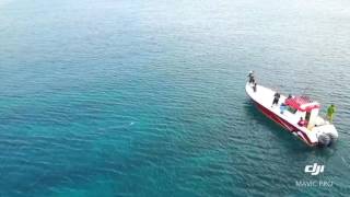 GT Popping Madness : Maldives Expedition by Tam & Friends