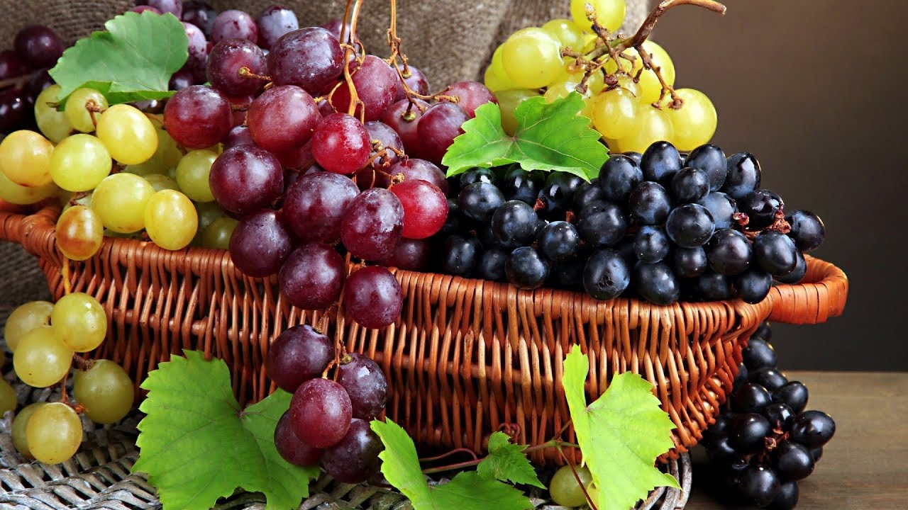 Каковы полезные свойства известных продуктов (часть первая) Каковы полезные свойства известных продуктов (часть первая)