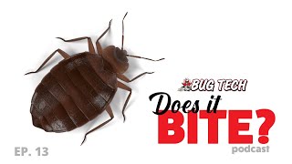 Does It Bite - Bed Bugs: Prevent Hitchhikers During Summer Tavel