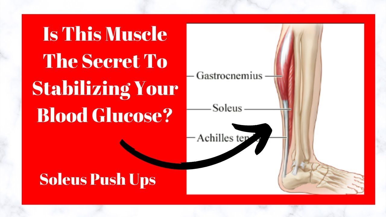 Soleus PushUps For Diabetic Health? pushup soleus YouTube