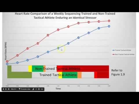 Reflexive Performance Reset Chart