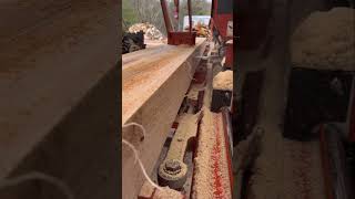 woodmizer lt40 in action!