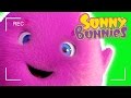 Funny Videos For Kids | Sunny Bunnies Selfie | Funny #Cartoons