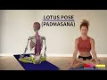 The one thing NOT to do in the Lotus pose