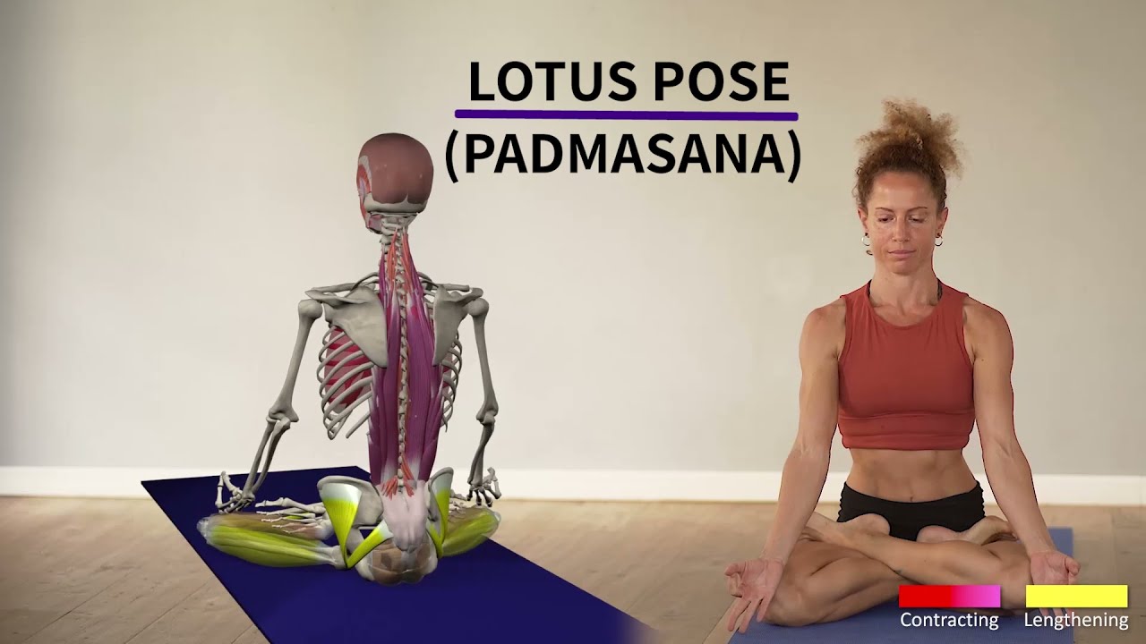 Lotus Pose