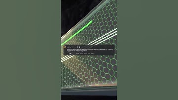 What is a fact that you think barely anyone else knows? #shorts