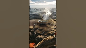Stranded deep How to catch birds