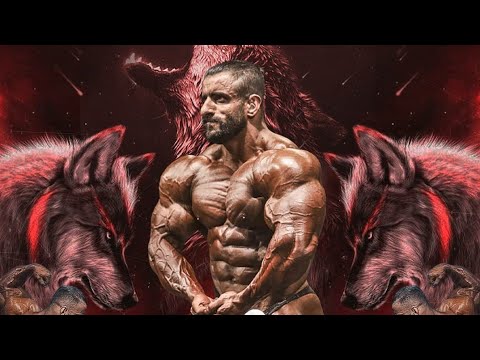 The Persian Wolf - YouTube
