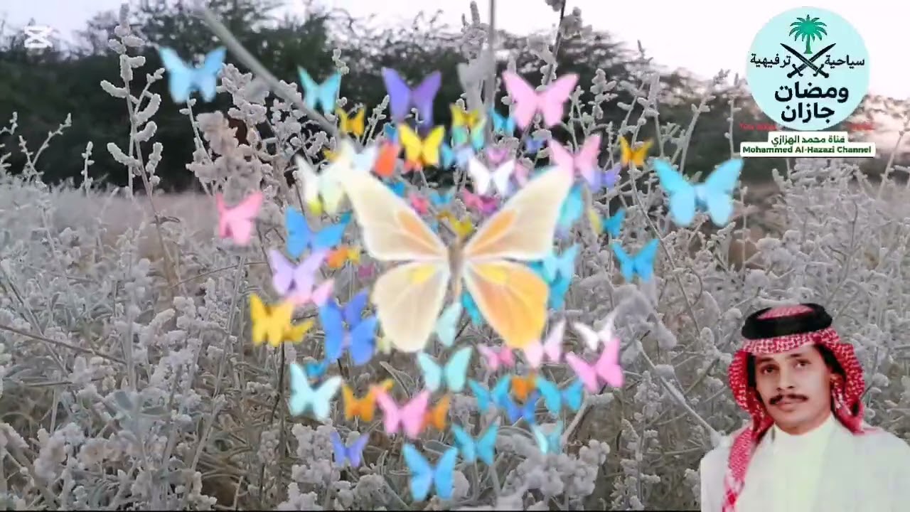 نسمات من الطبيعة جازان الحُرَّثْ العين الحارة وادي خُلَبْ تصوير ومونتاج : محمد الهزازي 7 - 1 -2026