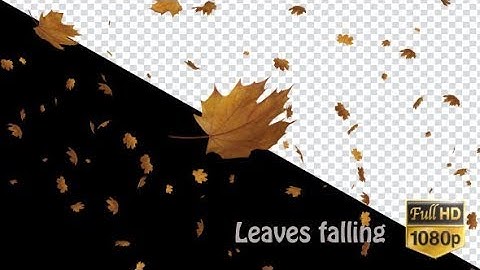 Falling Leaves | Motion Graphics - Videohive template
