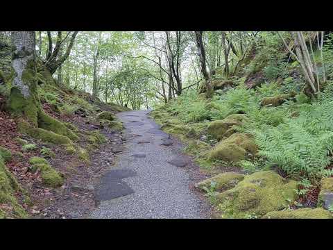 path at Edvard Grieg's house, Troldhaugen - ASMR video