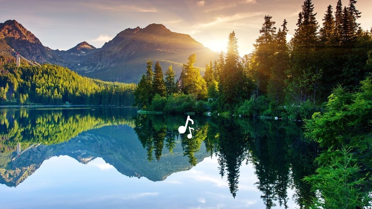 Walk in the Forest | Floating, Peaceful music sony zv e10