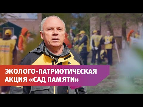 Видео: 79 саженцев березы высадили сотрудники компании «Оренбургнефть» в преддверии Дня Победы