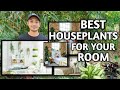 BEST HOUSEPLANTS TO PLACE IN YOUR BEDROOM AND THEIR BENEFITS
