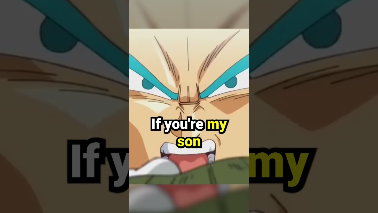 Vegeta's Speech to Trunks 