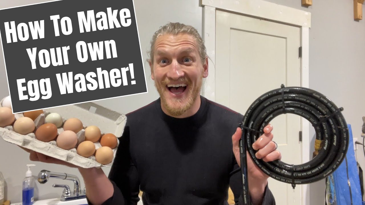 Best Egg Washer To Help You Clean Eggs Quick and Easy (2023)