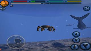 The Crab 3D, Ultimate Ocean Simulator, By Gluten Free Games screenshot 5