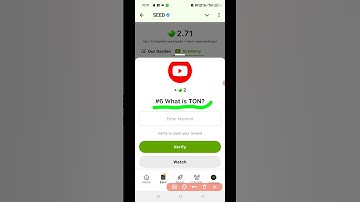 SEED Verify Code | #6 What is TON? | SEED