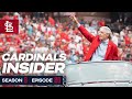 Honoring Simba Cardinals Insider Season 6 Episode 20 St Louis Cardinals Honoring Simba Cardinals Insider Season 6 Episode 20 St Louis Cardinals