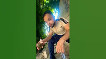 صاحبك بل شوب زين الدكاني Snyder 2024 اشتراك ضحك اكسبلور Funny انستغرام Comedy 